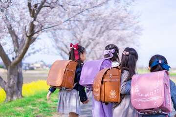 ランドセルを背負って楽しく登校する小学生の女の子たち
