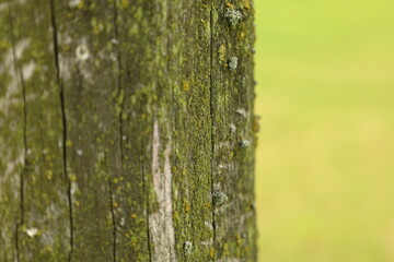 rusty fence
