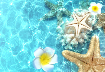 Starfish and seashells on the summer beach in sea water. Summer background. Summer time