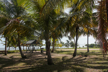 Table de picnic sur une aire de repos pr&egrave;s de la plage de Awala-Yalimapo, village am&eacute;rindien en Guyane Fran&ccedil;aise lors d'une journ&eacute;e ensoleill&eacute;e pr&egrave;s de l'oc&eacute;an atlantique