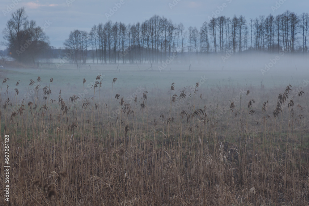 Canvas Prints Foggy evening landscape in Wegrow County, Masovia region of Poland