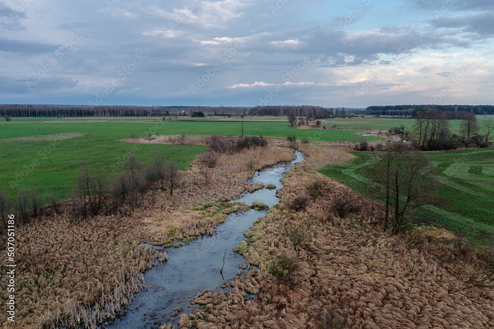 Wall mural River Belczac river, branch of the Liwiec river, Wegrow County, Masovia region of Poland