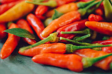 thai red chili recipe for making thai food