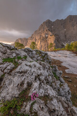 Beautiful summer morning in the mountains of Julian Alps