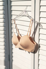 Still life: underwear, bra on hangers