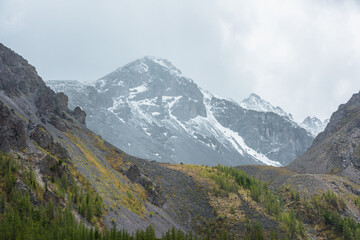 High mossy mountains with trees against large snowy mountain top with sharp rocks in rainy low clouds. Dramatic view to forest mountainside and snow mountains in gray cloudy sky in changeable weather.