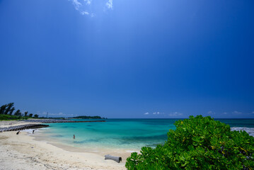 【沖縄・海画像】沖縄北部の透き通った青い海