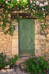 Alte Holztür mit Rosenstock, Provence