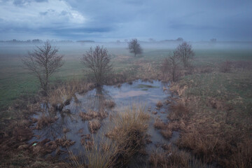 Obraz na płótnie Canvas Pond on a meadow in Wegrow County, Masovia region of Poland