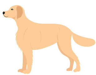 dog stands in flat design isolated, vector
