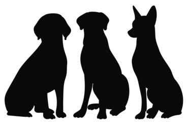dogs sit silhouette on white background, isolated, vector