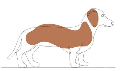 dog drawing in one continuous line, sketch, isolated, vector