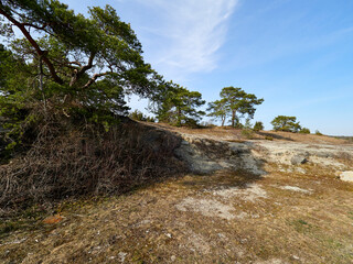 Naturschutzgebiet Ruine Homburg  bei Gössenheim und Karsbach, Unterfranken, Franken, Bayern, Deutschland