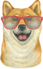 Watercolor cute shiba inu illustration in cartoon style