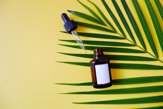 Bottle with dropper pipette with serum or essential oil. Yellow background with daylight and beautiful palm leaf.Skincare products , natural cosmetic. Beauty concept for face and body care.
