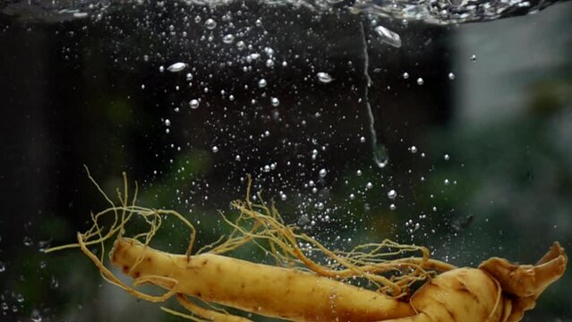 Ginseng root pouring into water slow motion
