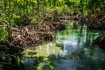 Khlong Nam Sai or Emerald Pool, Krabi Province, is a tourist attraction in Thailand.