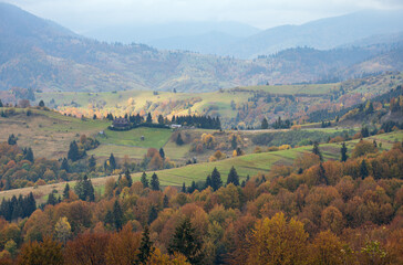 Obraz premium Cloudy and foggy day autumn mountains scene. Peaceful picturesque traveling, seasonal, nature and countryside beauty concept scene. Carpathian Mountains, Ukraine.