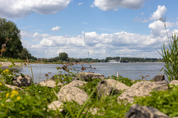Fototapeta na wymiar Rhein 1