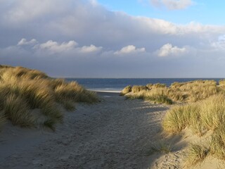 View from the dunes with marram grass to the sea.