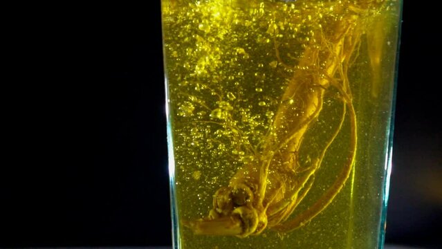 Ginseng root pouring into water slow motion