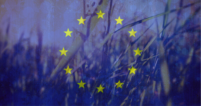 European flag with peaceful cornfield in the background - Powered by Adobe