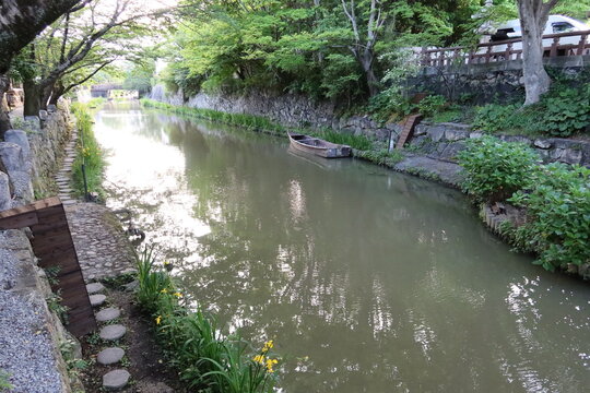  Hachiman-bori Moat in a riverside district of Omihachiman City in Shiga Prefecture in Japan 日本の滋賀県の近江八幡市の水郷地帯の八幡堀