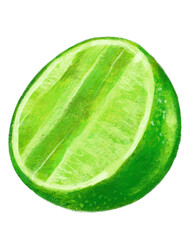 Sour green lime cut in half citrus summer drink for cocktail hand drawing illustration