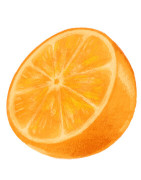 Orange fruit cut in half juicy drink for cocktail hand drawing illustration art