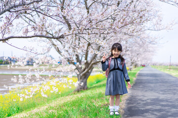 入学式のためにおめかしをした女の子