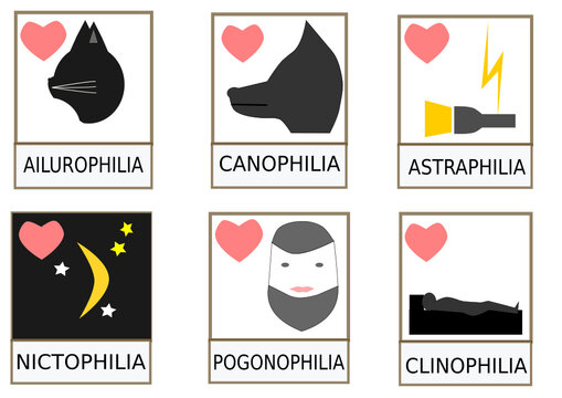 vector concept of common types of philia canophilia ailurophilia astraphilia nictophilia pogonophilia clinophilia