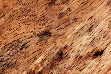 Fototapeta na wymiar A full frame of brown old wood grain for the background.