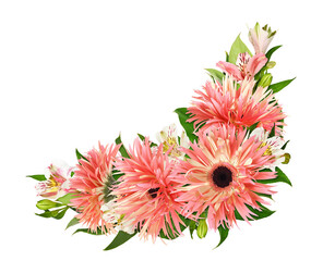 Coral flowers of gerbera pink springs and green leaves of salal in a floral arrangement isolated