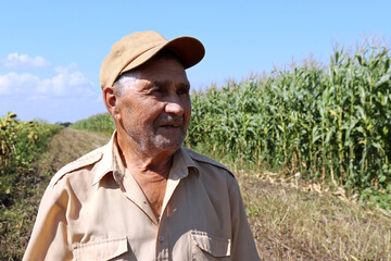 Old farmer stands on a green cornfield, smiling elderly man in baseball cap inspects the crop. Work...