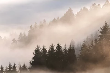 Crédence de cuisine en verre imprimé Forêt dans le brouillard Saint Thomas church on a foggy morning in Slovenia