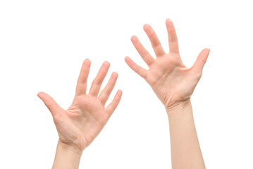 Woman hand isolated on a white background.