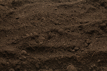 Black land for plant background. Top view.