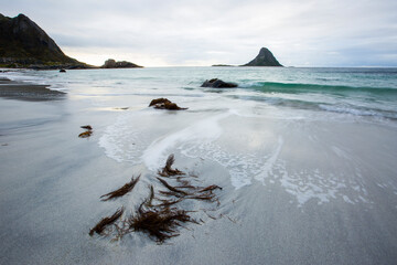Autumn landscape and beach in Lofoten Islands, Northern Norway