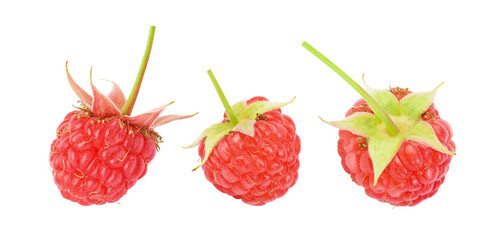 natural wild raspberries isolated on white. the entire image is sharpness.