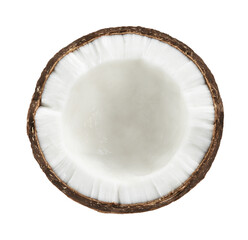 coconuts isolated on the white background.the entire image is sharpness.