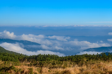 Obraz premium Real mornings in the Carpathians near Lake Nesamovyto, Mount Turkul and the environment.