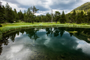 Summer landscape in Posets Maladeta Nature Park, Spain