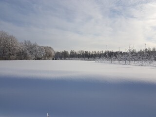 Beautiful thick and even snow formation on a field with snow-covered trees.
