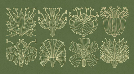 Art nouveau style flower plant basic element. 1920-1930 years vintage design. Symbol motif design. - obrazy, fototapety, plakaty