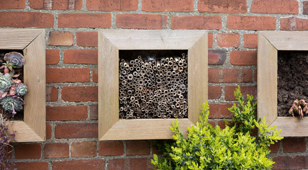 insect hotel made with hollowed out sticks built into a wall