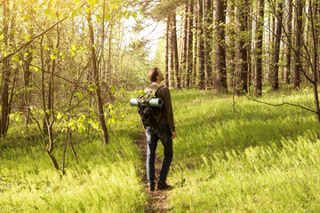 Man, tourist hiking, walking in spring summer green forest with backpack in sunlight at nature