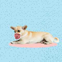 Contemporary art collage. Funny image of cute dog with female mouth, tongue element isolated over blue background