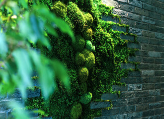 Decorative brick wall decorated with stabilized moss in an eco-friendly office
