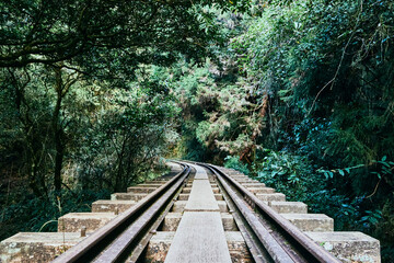 Fototapeta premium The railway in the forests of mountain.