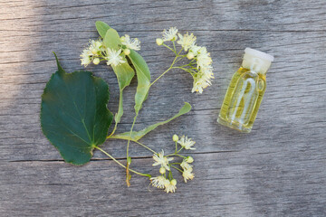 linden essential oil jar with fresh linden flowers on wooden background. top view